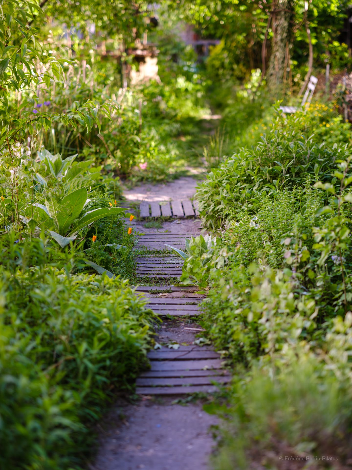 Invitation au jardin