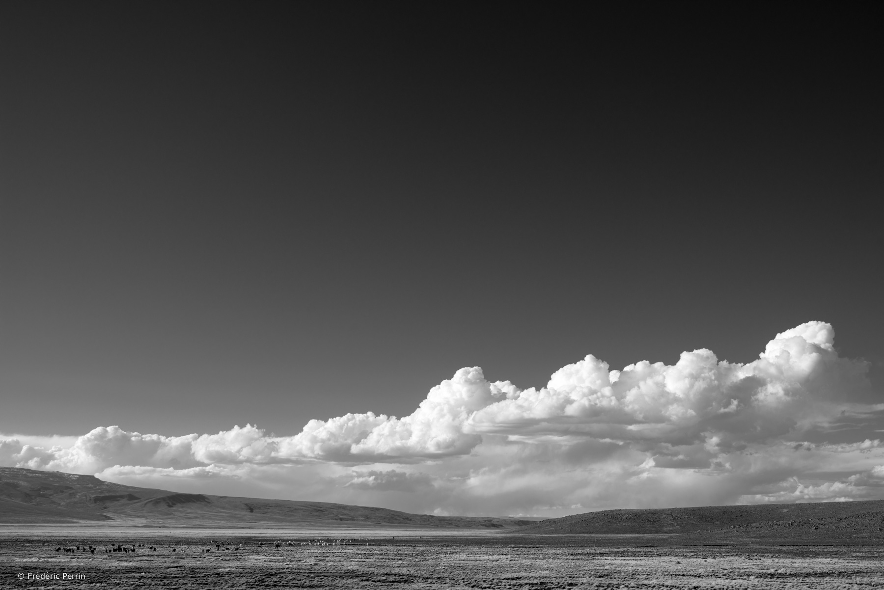 On the Road Between Chivay and Arequipa