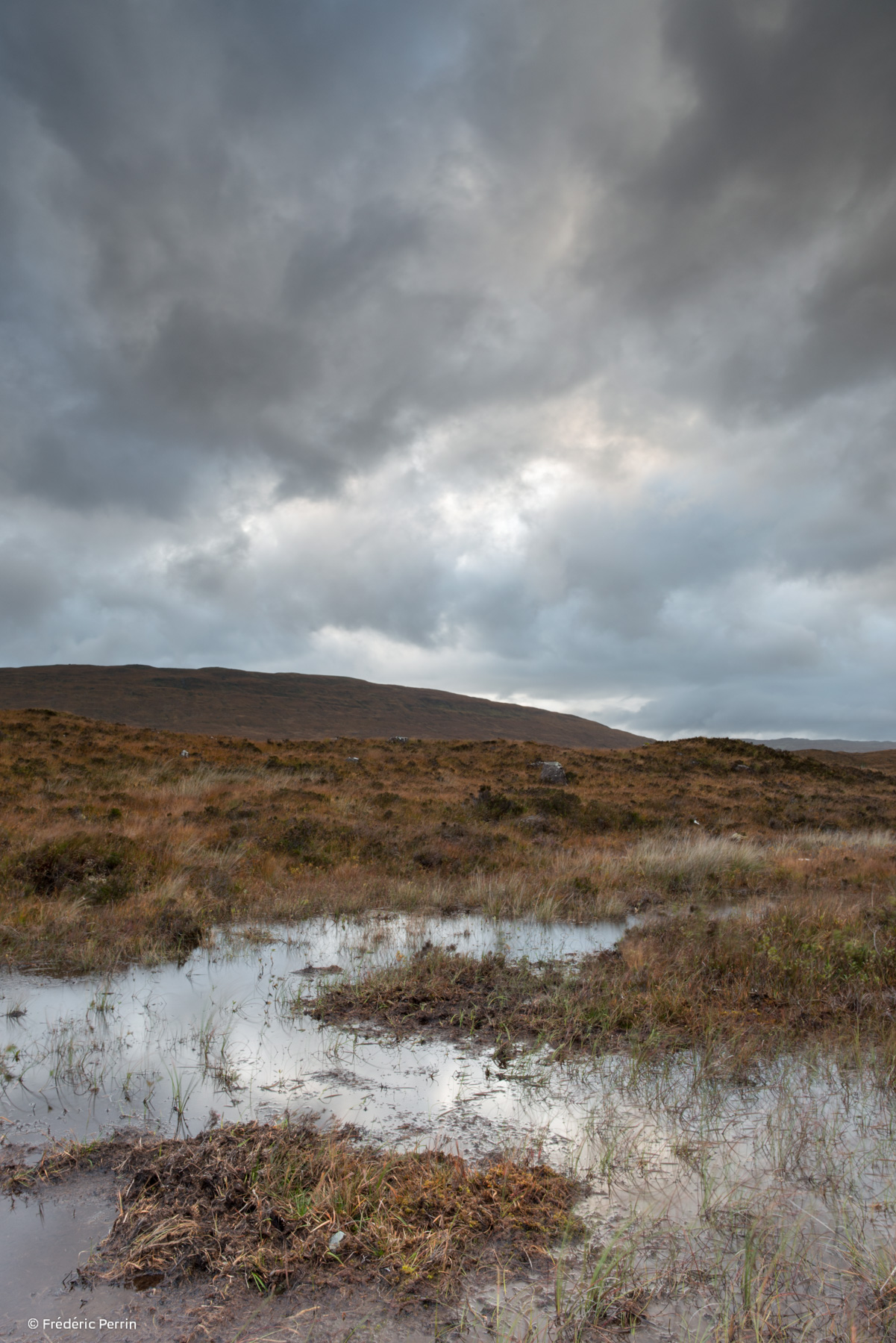 Moorland