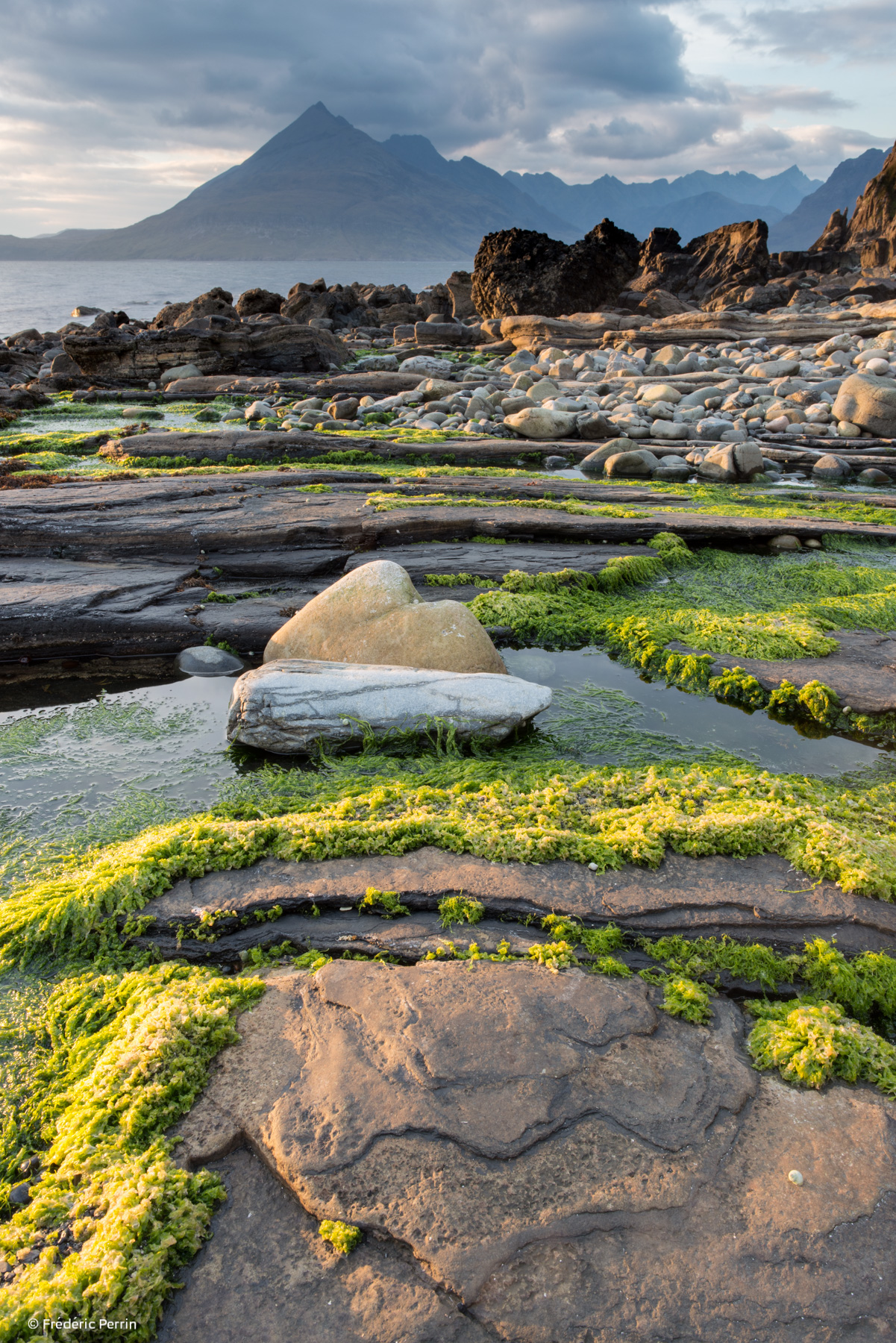 Rocks & Algae