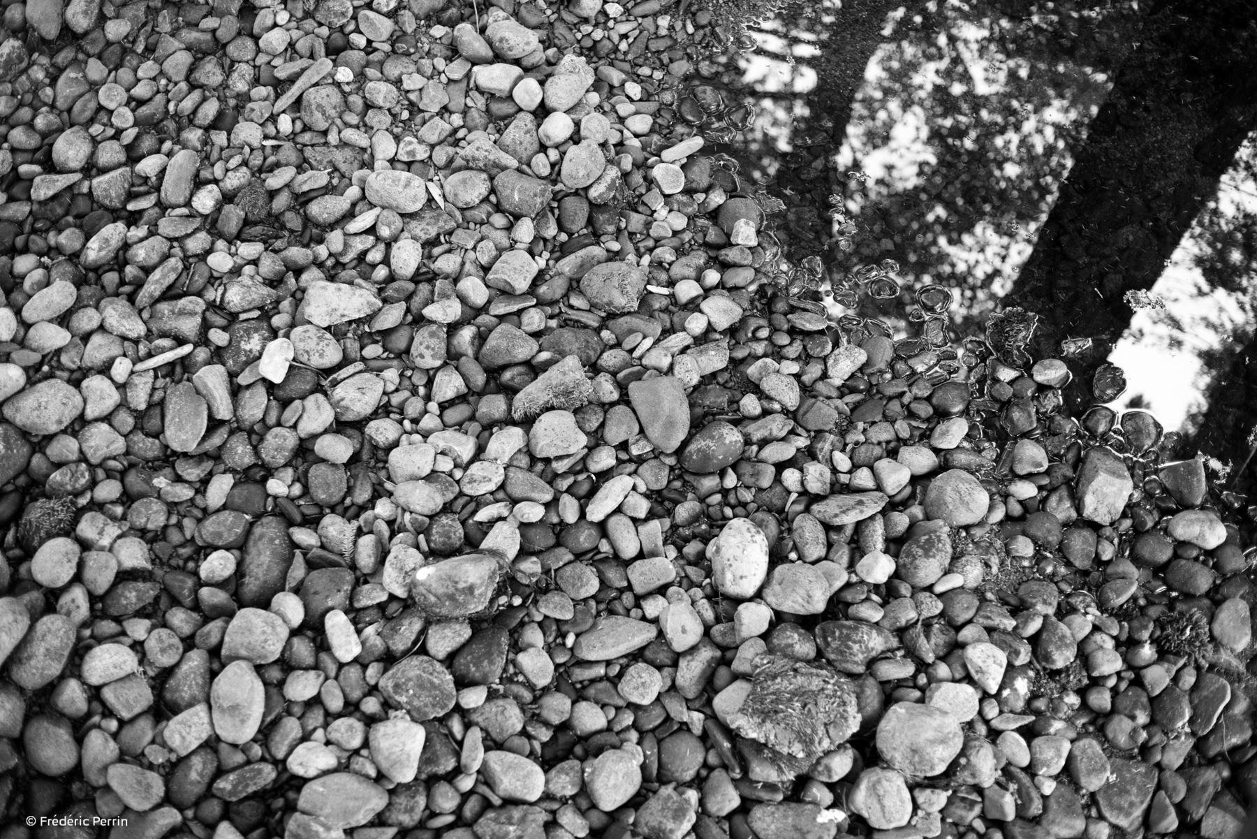 Pebbles & Trees