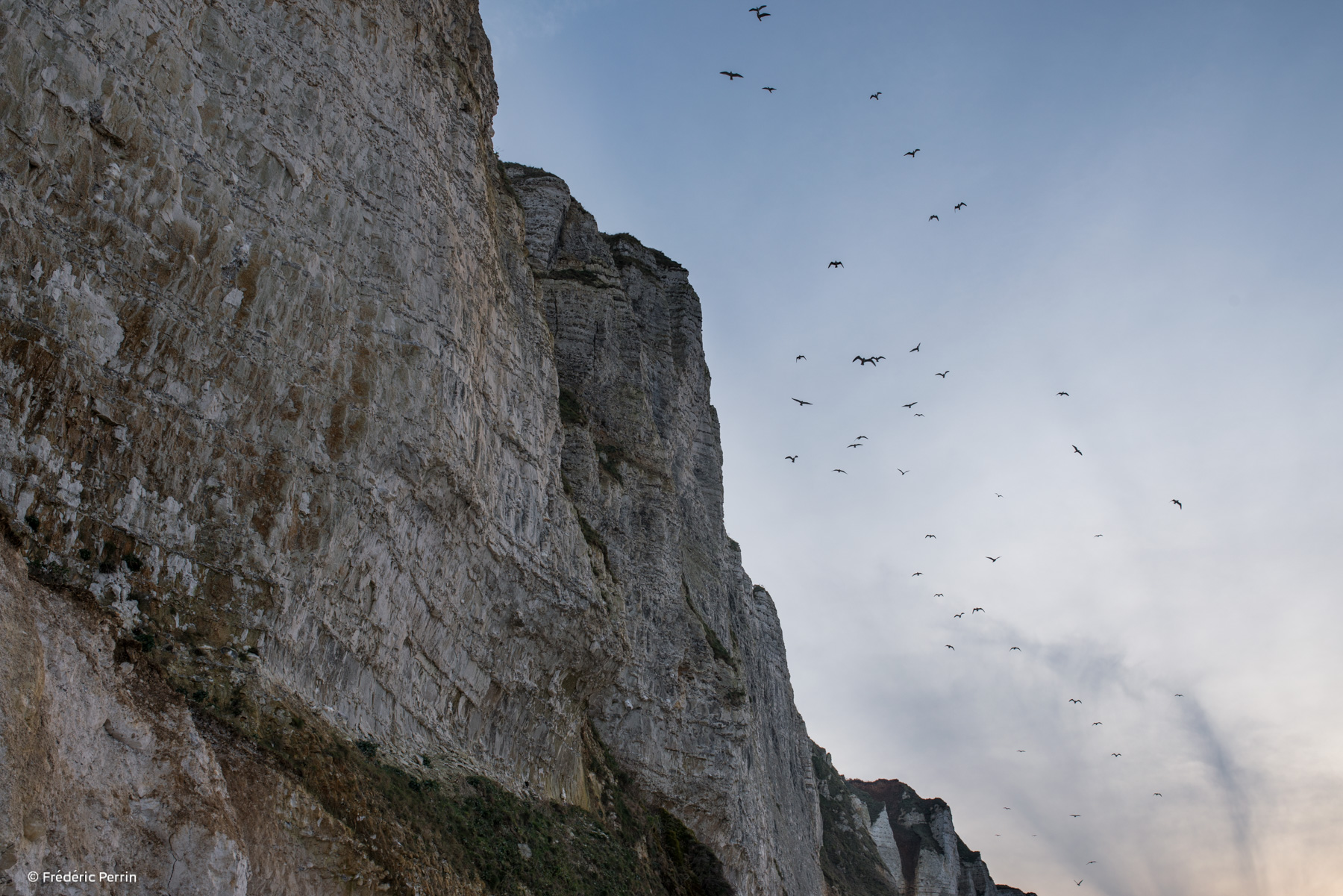 Cliff Top