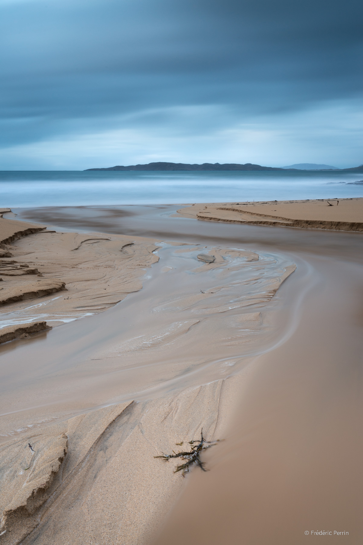 Washed-up Seaweed