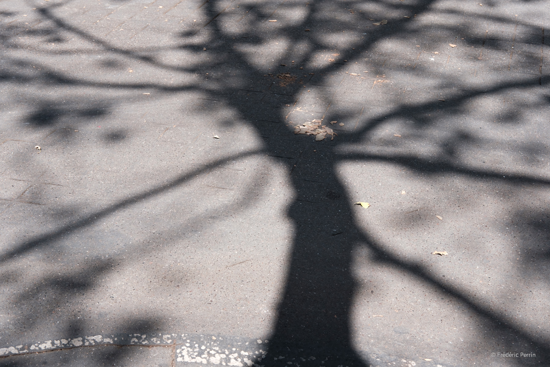 Graphic Shadows I, Trottoirs de Paris