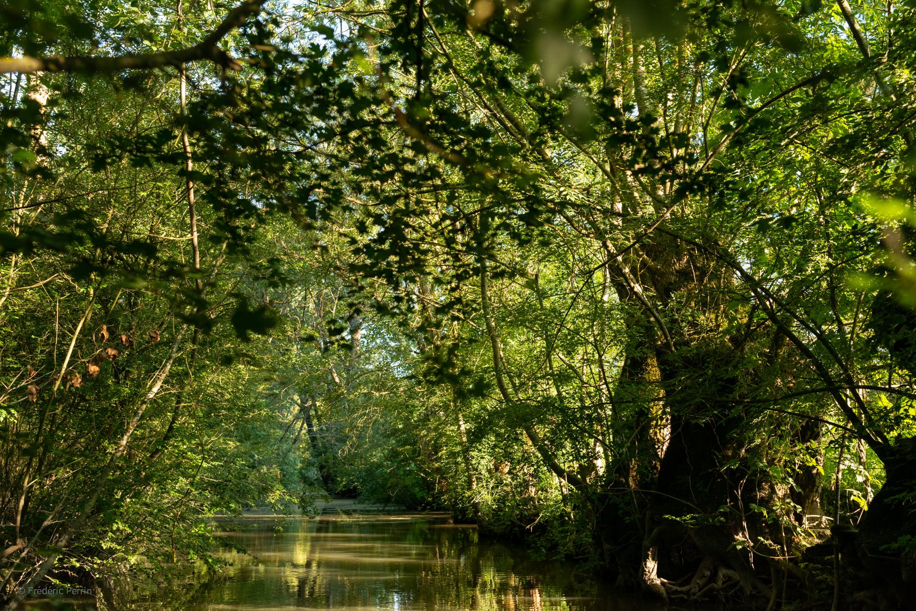 Au fil de l’eau I