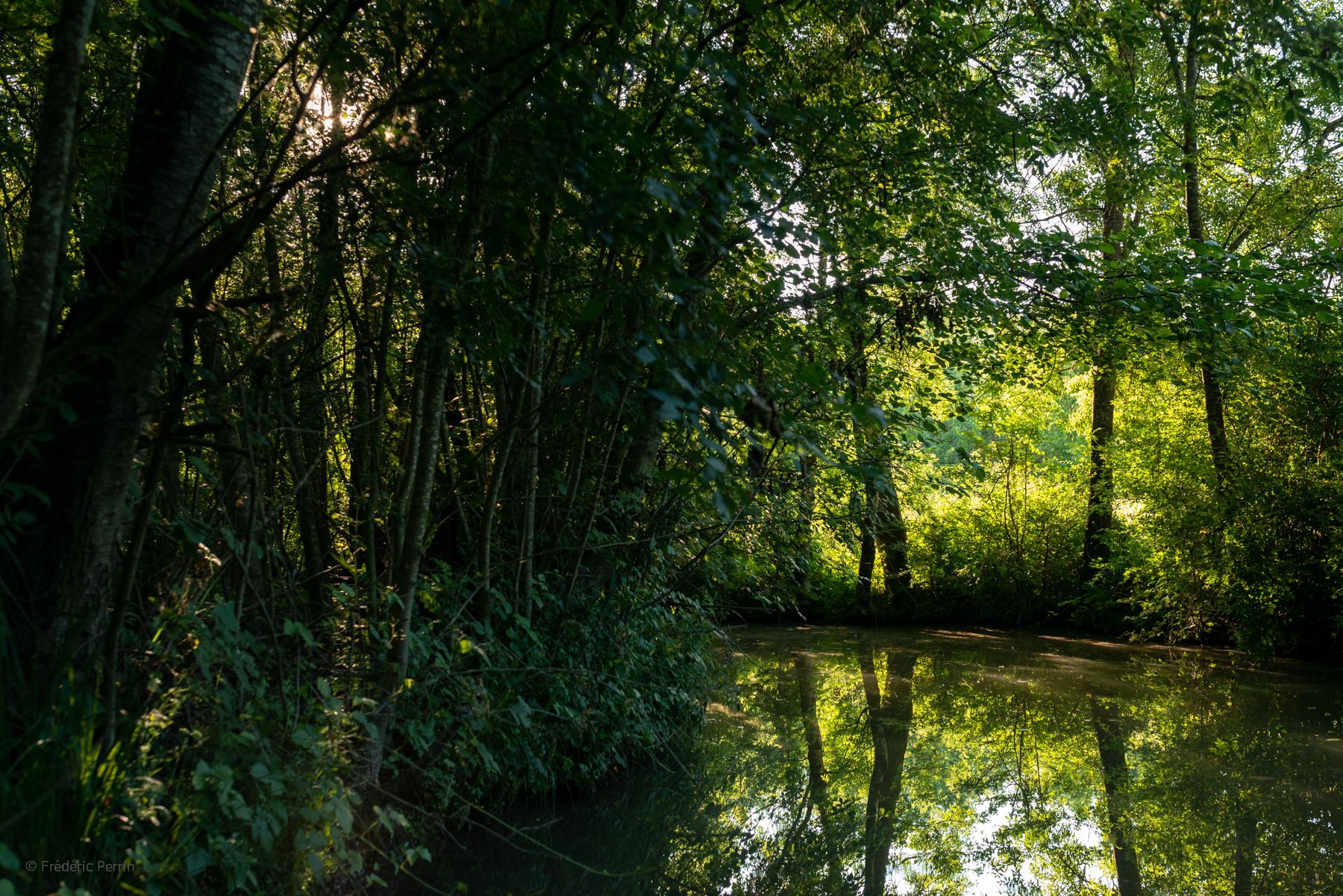 Au fil de l’eau II