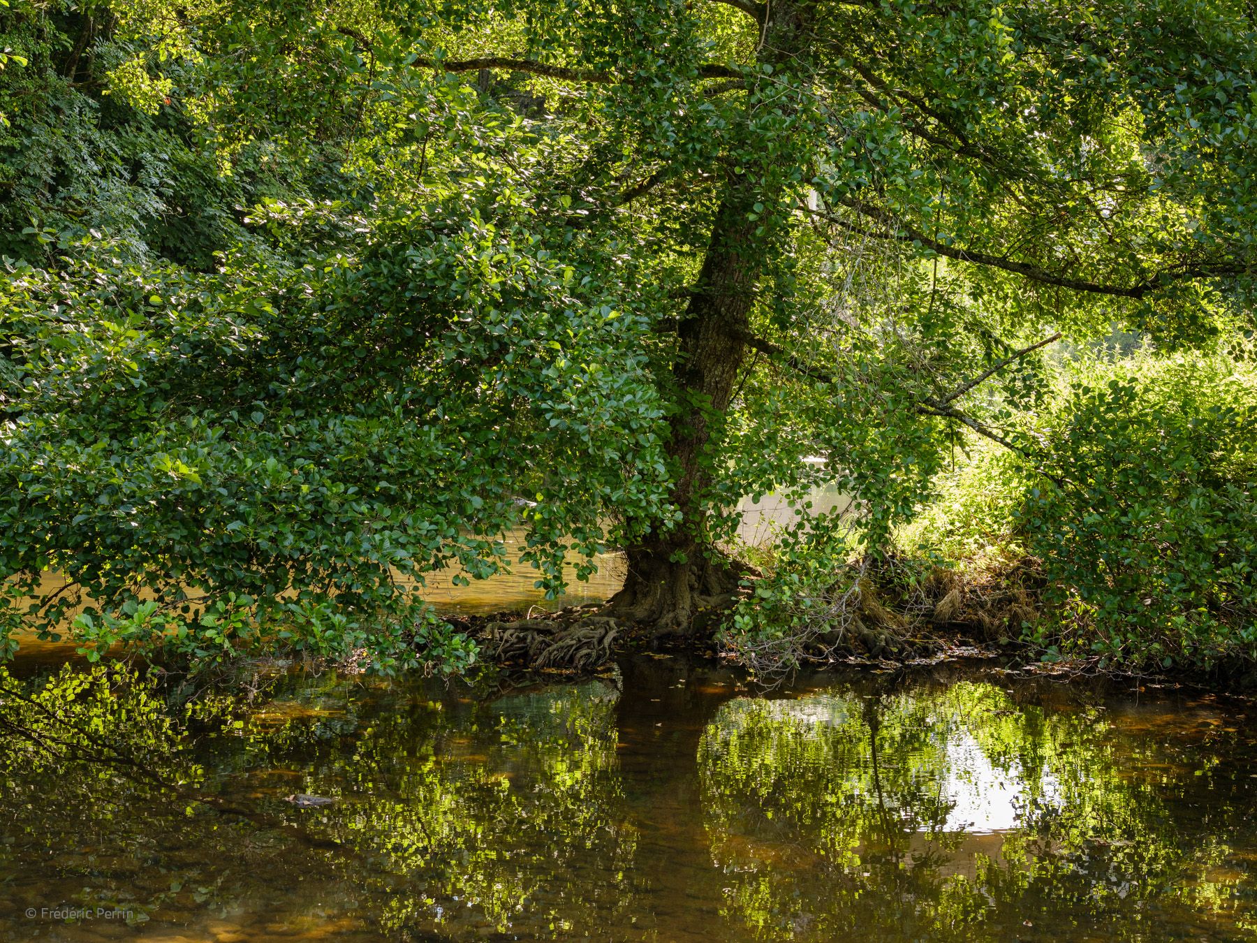 Rivière Armançon