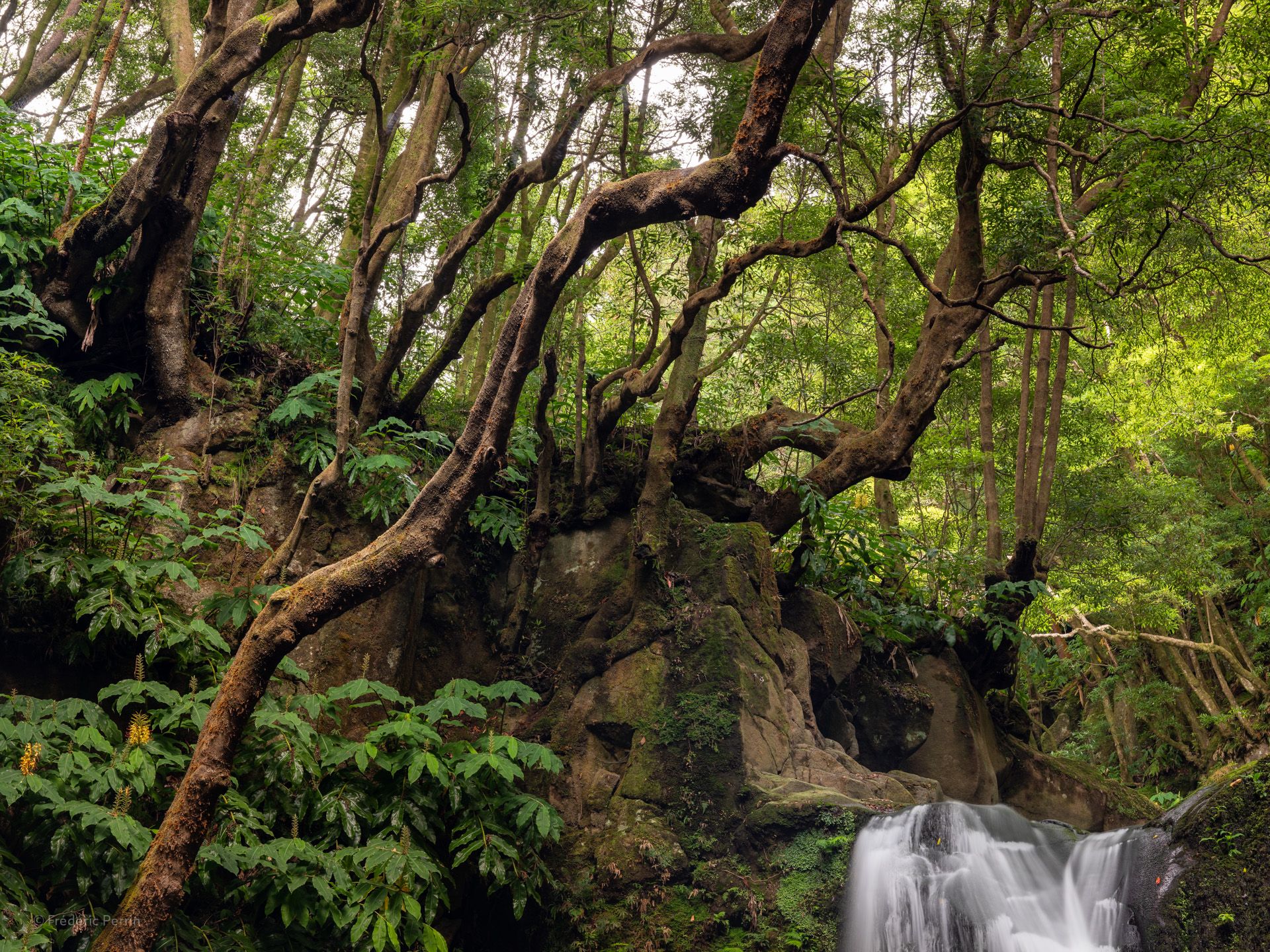 Au dessus de la cascade