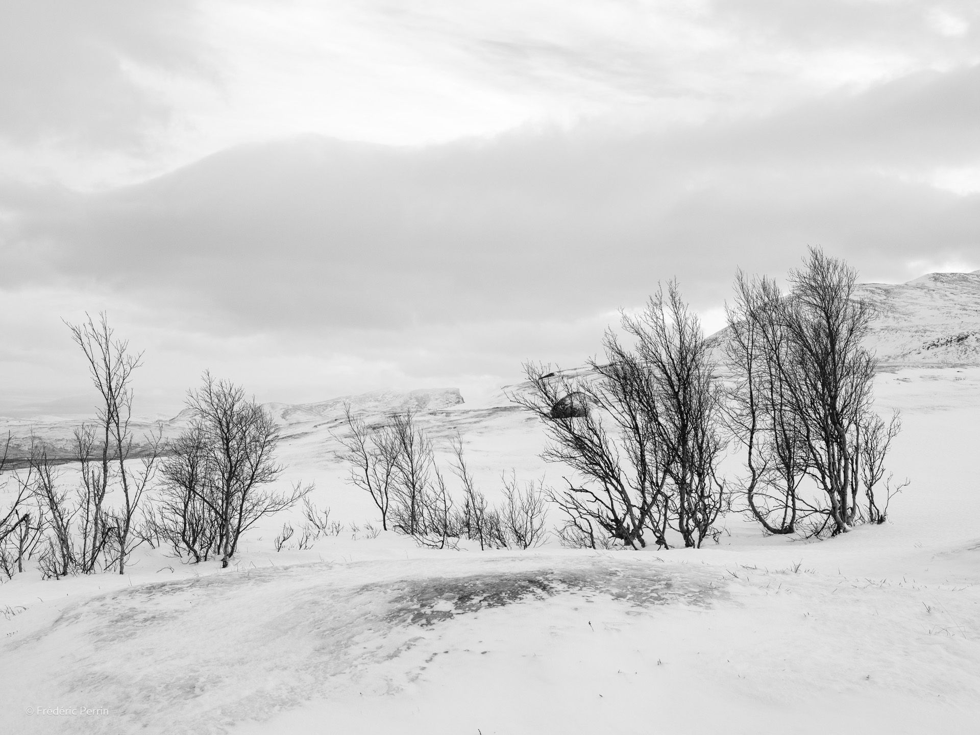 Des arbres et des reliefs