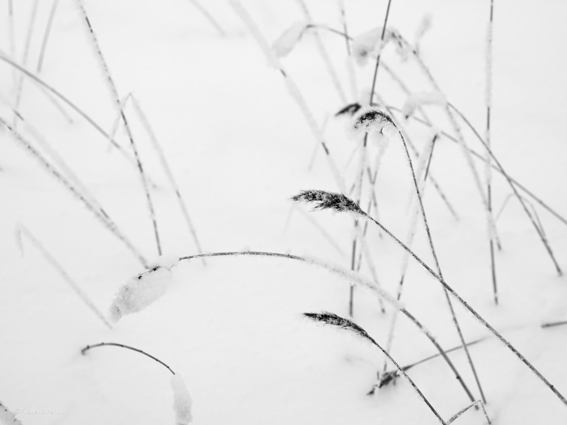 Courbes sur la neige I
