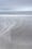 Curvilinear