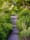 Invitation au jardin