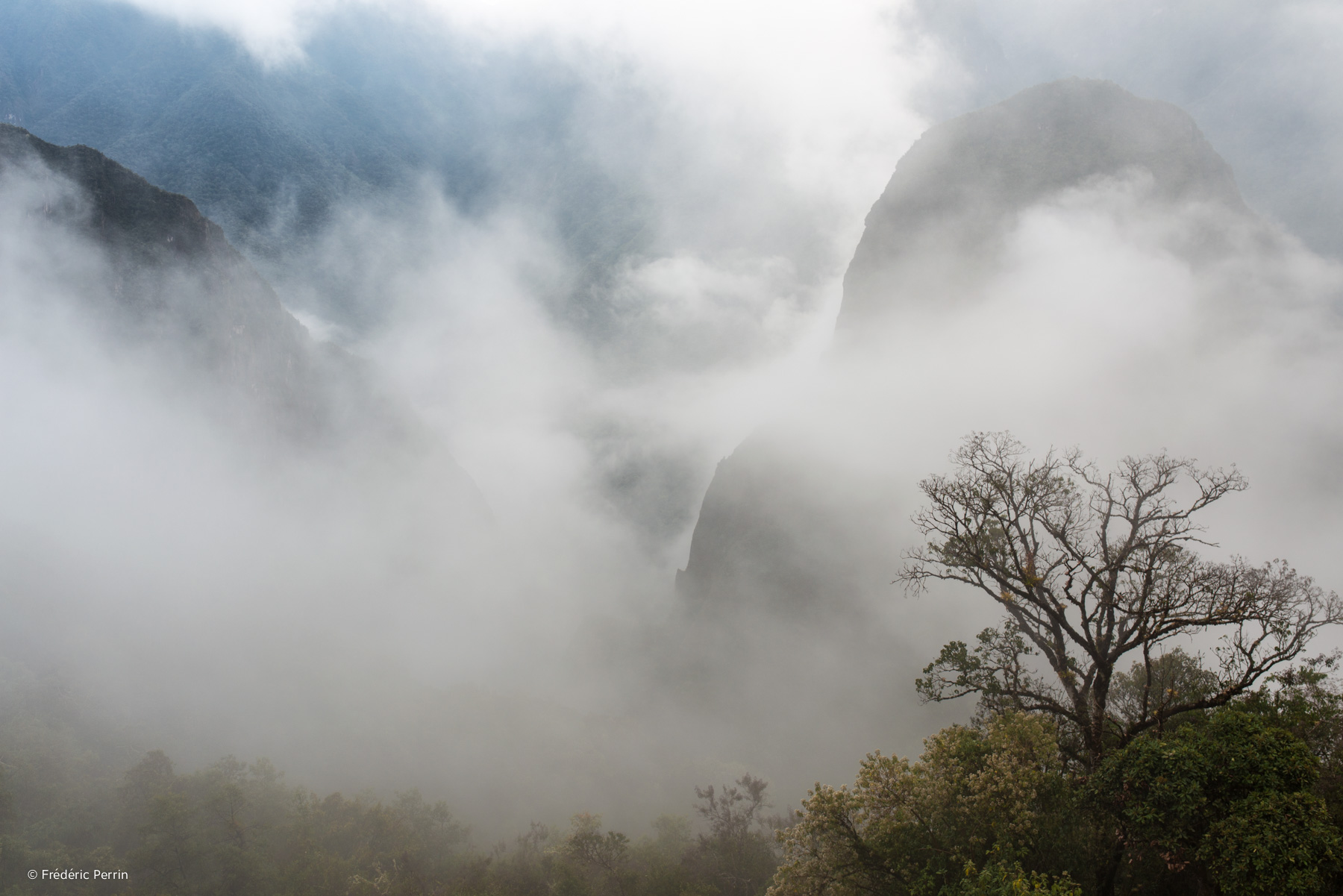 Holy Mountains