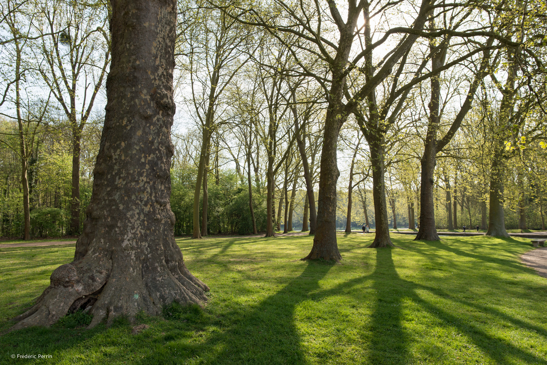 Parc de Sceaux