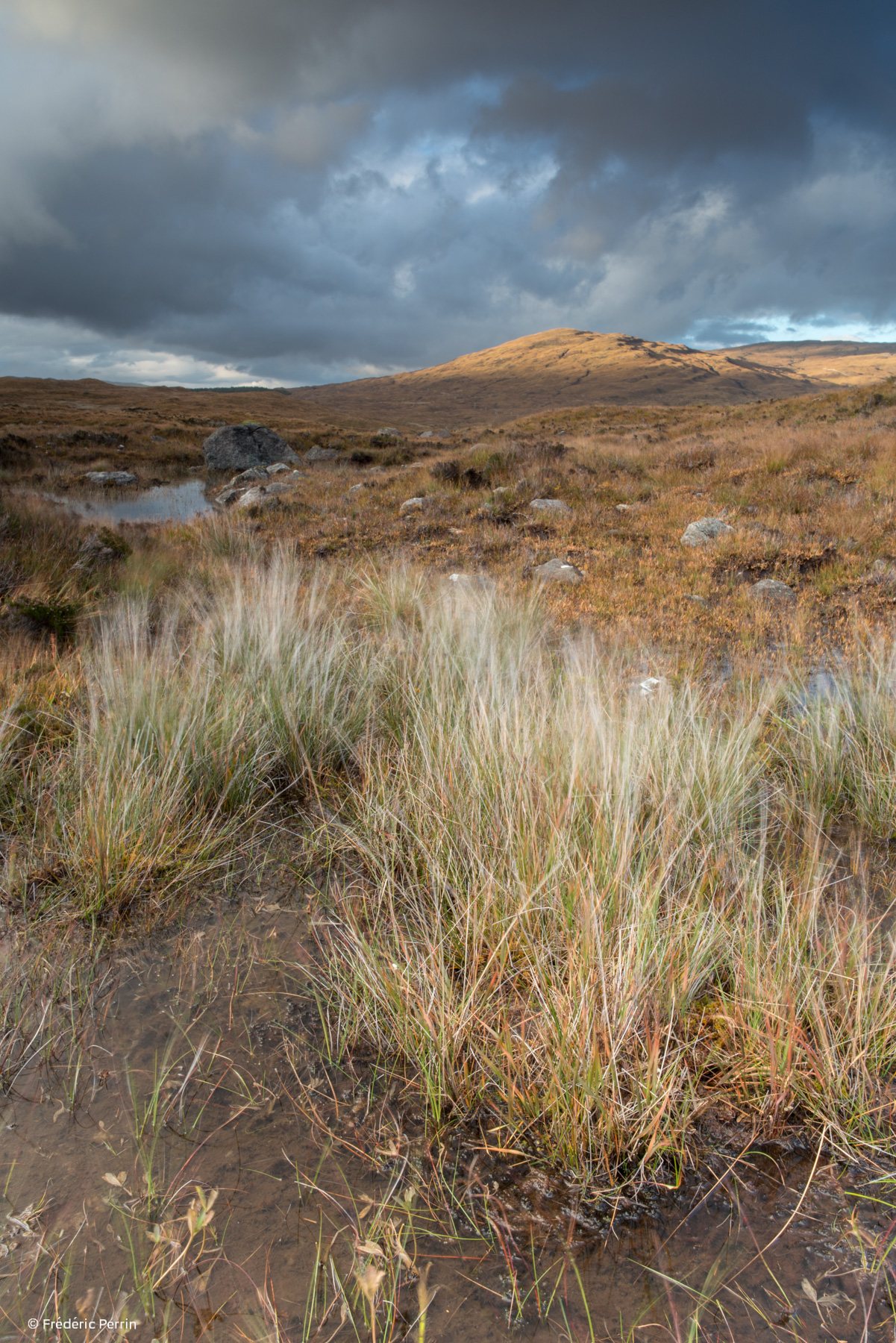 Light on the Hills