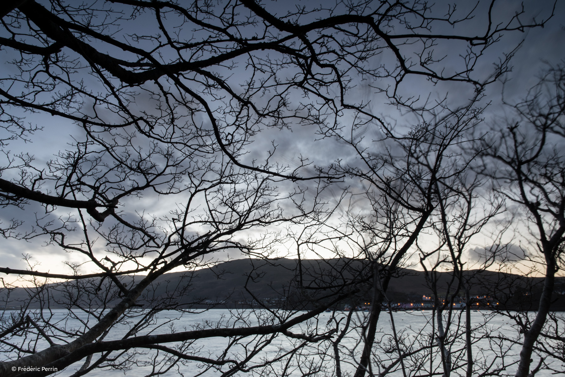 Portree & Trees