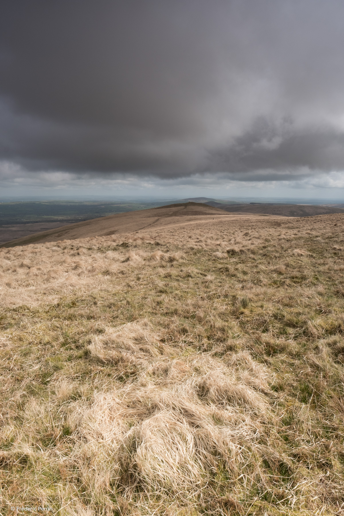 Pembrokeshire Hills