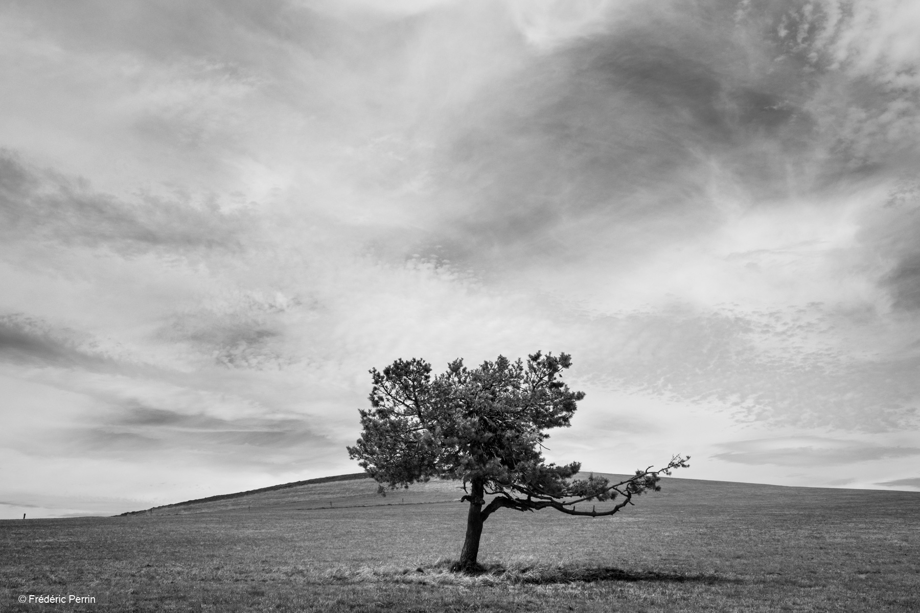 Under a Translucent Sky