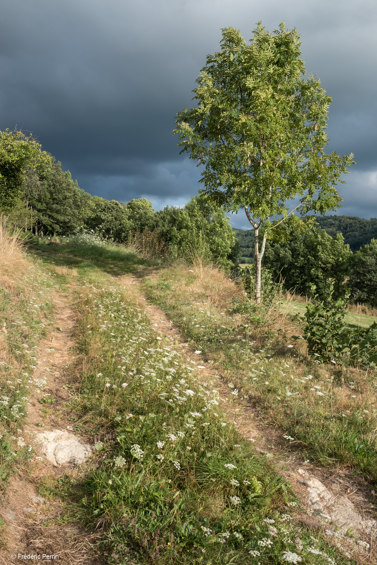 To the Countryside