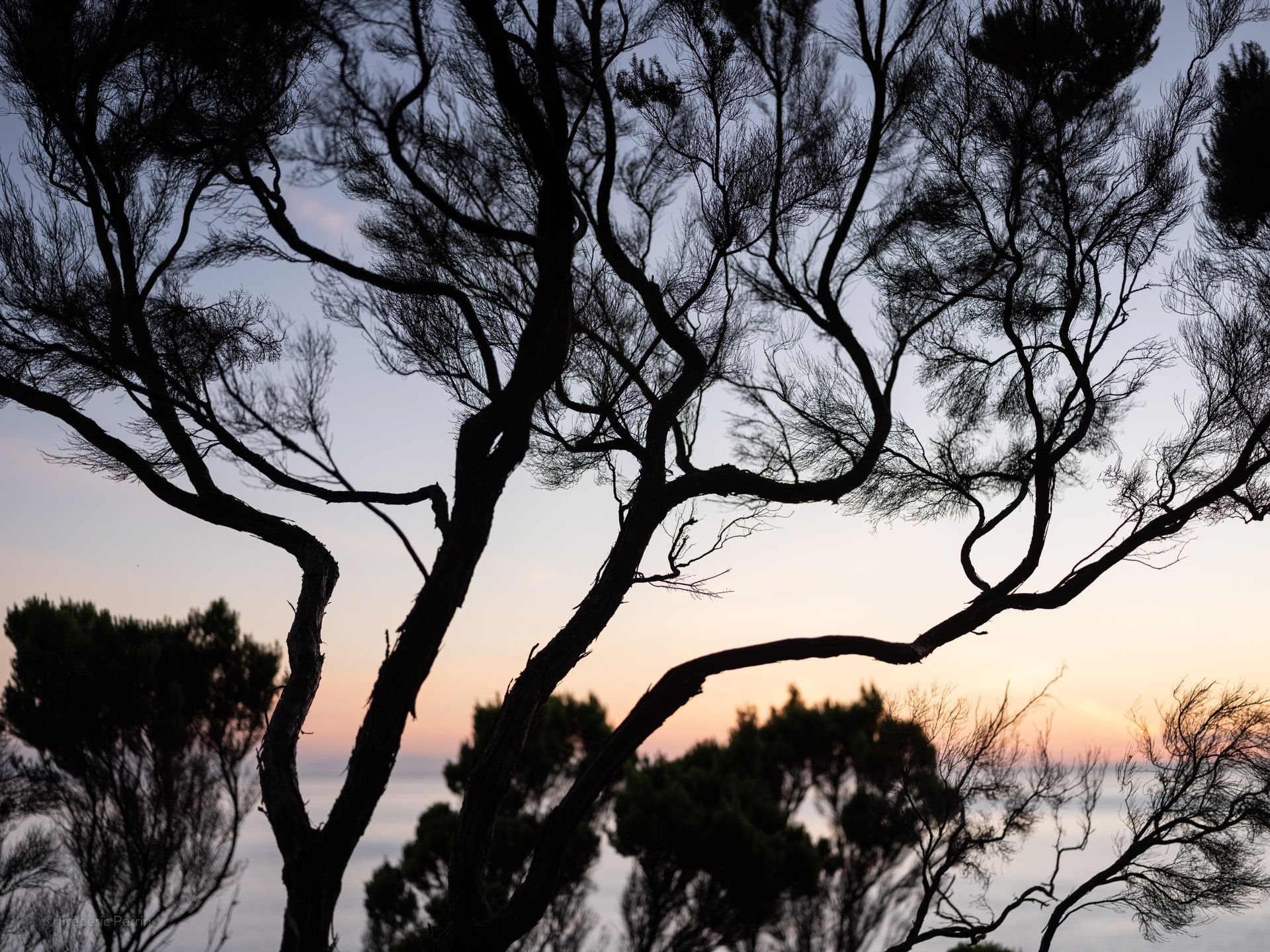 Branches & couleurs