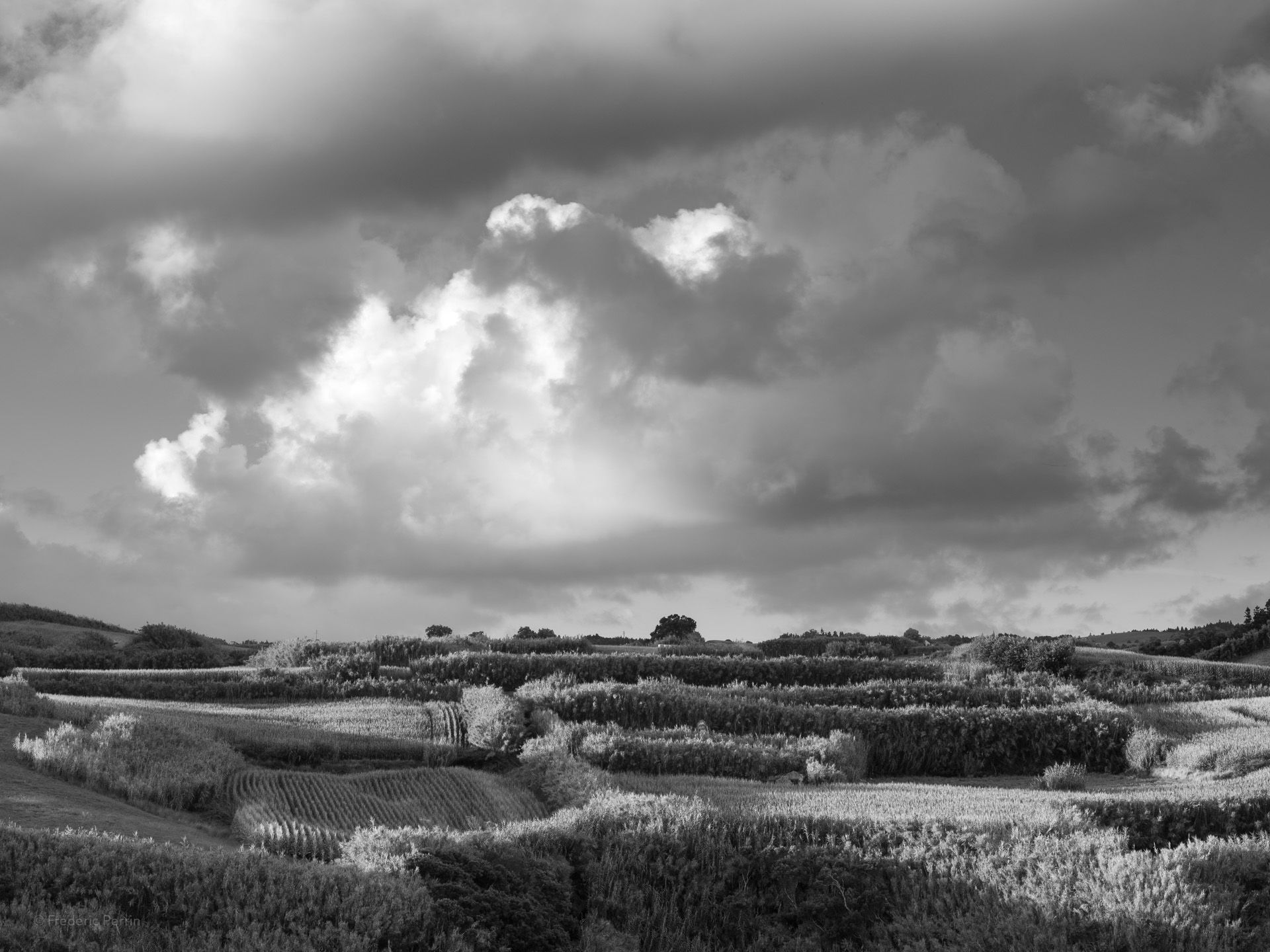 Champs et nuages