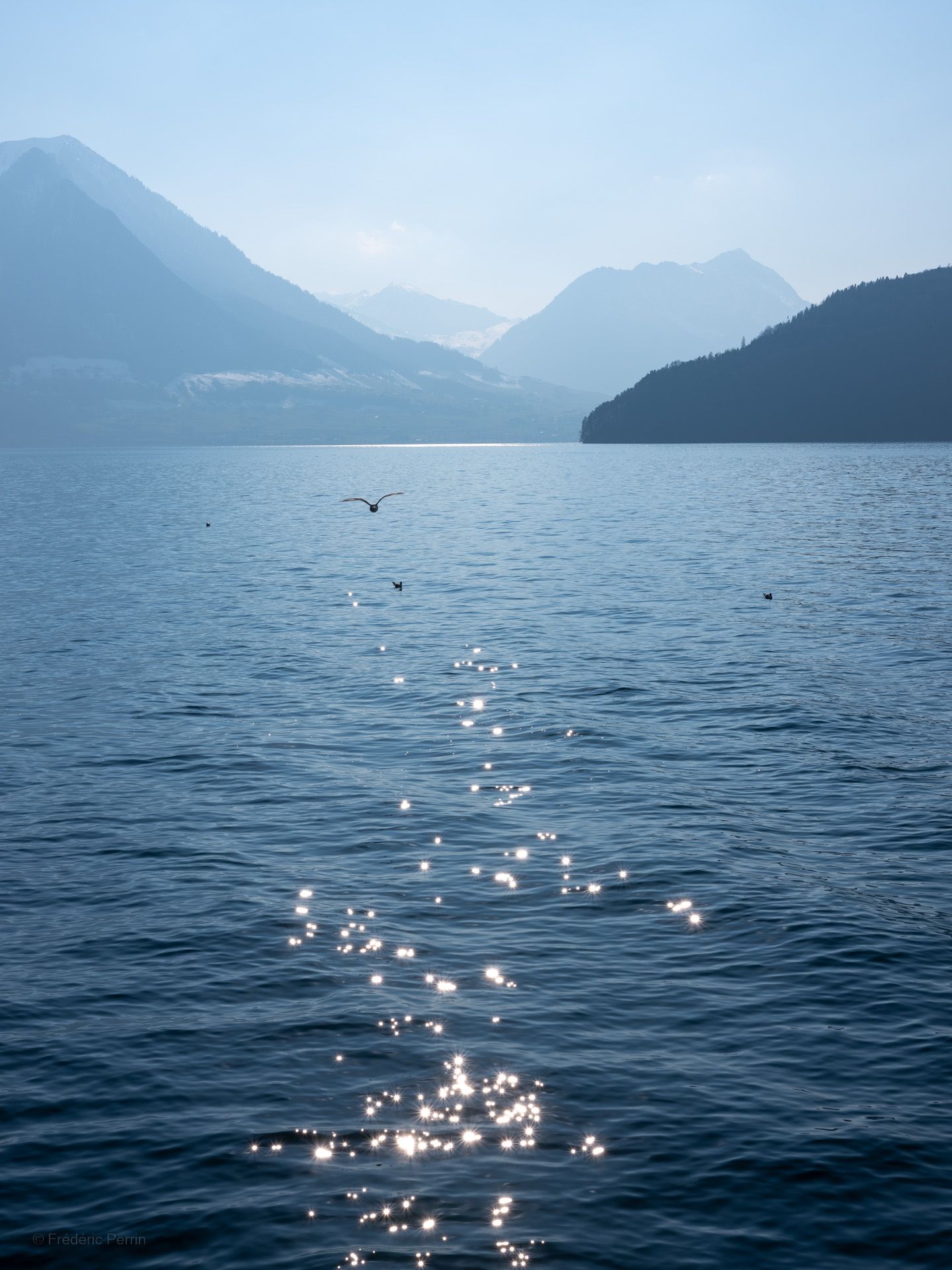 12 photographies · 2015-2022