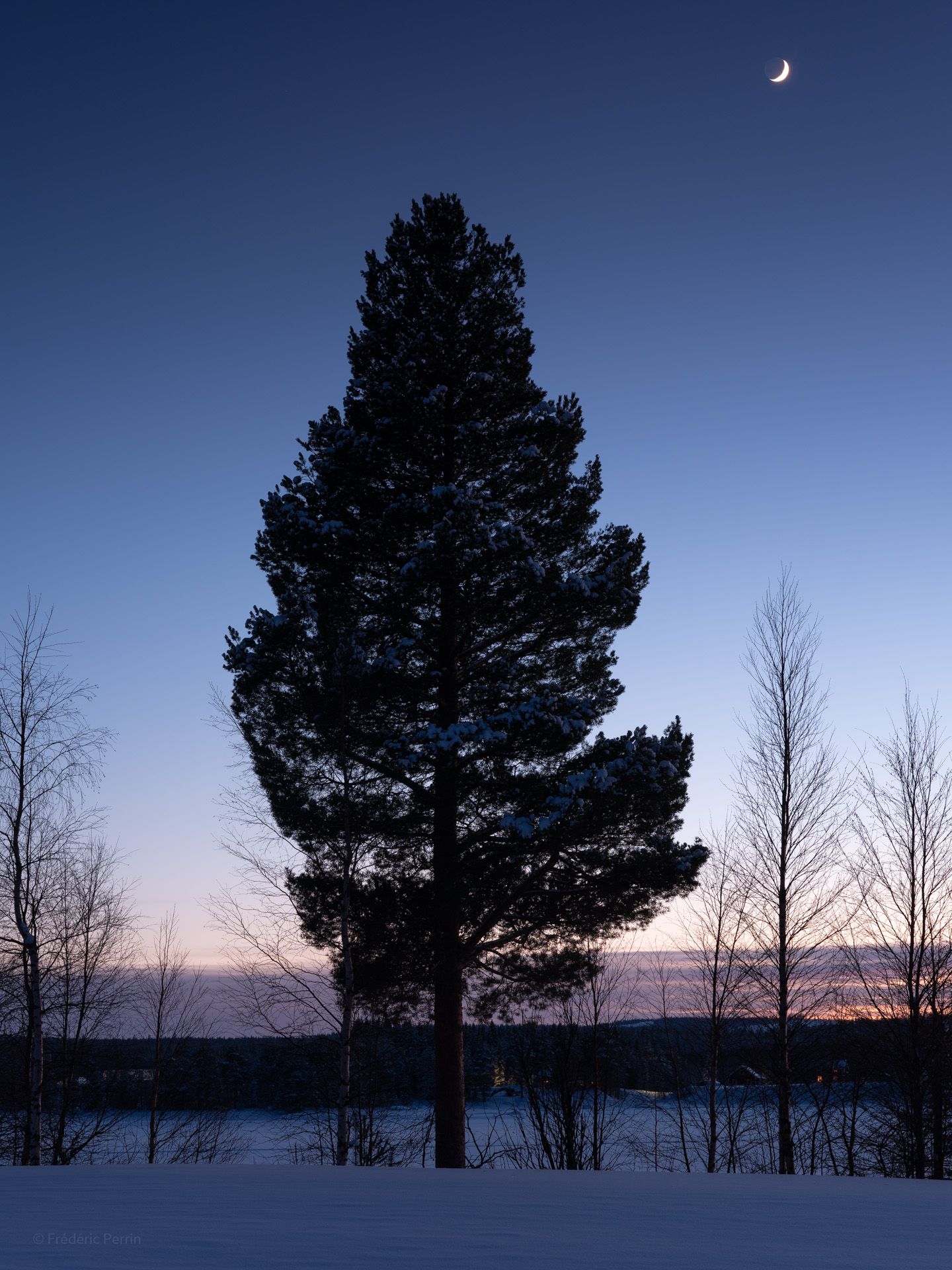 Silhouettes et crépuscule II